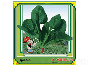 ʢ-��ī����F1-���˷N��-ʢ���N��