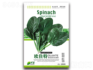 �W����-���˷N��-�S�T�N�I(y��)