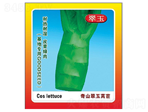 ��ɽ�����n��-�n�ķN��-ʢ���N��