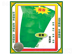 翠青香萵筍-萵苣種子-盛琪種子