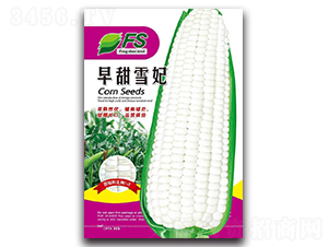 ����ѩ��-��Ŵ���׷N��-�S�T�N�I(y��)