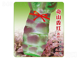 奇山香紅萵筍-萵苣種子-盛琪種子