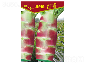 盛一奇紅秀2號(hào)萵苣-萵苣種子-盛琪種子