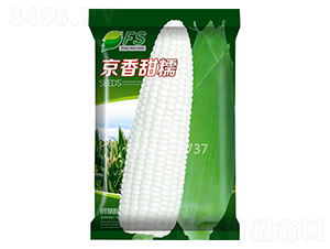 ������Ŵ-��Ŵ���׷N��-�S�T�N�I(y��)