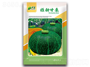 姬甜甘栗-南瓜種子-豐碩種業(yè)