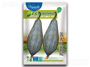 美人魚(yú)栗妃-南瓜種子-豐碩種業(yè)