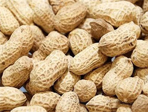 ����4̖-�����N��-���S�r(n��ng)�I(y��)