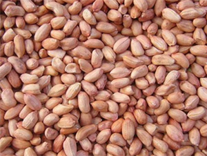 ����16̖-�����N��-���S�r(n��ng)�I(y��)