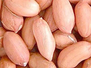 ����1̖-�����N��-���S�r(n��ng)�I(y��)