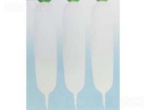 ��Ψһ-���}���N��-���S�r(n��ng)�I(y��)