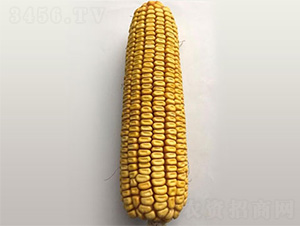 ����2201-���׷N��-���S�r(n��ng)�I(y��)