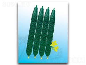 �ď�(qi��ng)56�S��-�S�ϷN��-����N�I(y��)