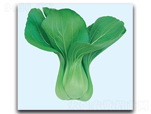 ����-�๣�˷N��-����N�I(y��)