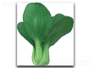 ����98�๣��-�๣�˷N��-����N�I(y��)