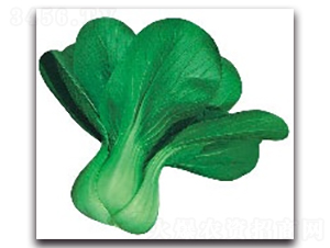 ����8̖(h��o)-�๣�˷N��-����N�I(y��)