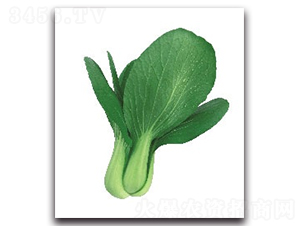 �A�ļt3̖(h��o)�๣��-�๣�˷N��-����N�I(y��)