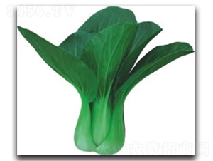 �t��312�๣��-�๣�˷N��-����N�I(y��)