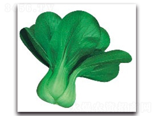 ����4̖(h��o)-�๣�˷N��-����N�I(y��)