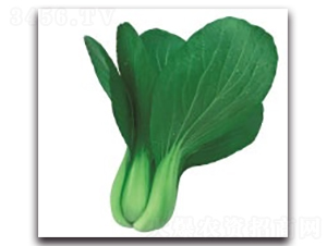 ����2̖(h��o)-�๣�˷N��-����N�I(y��)