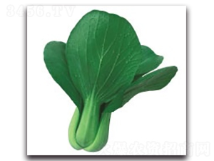 ����1̖(h��o)-�๣�˷N��-����N�I(y��)