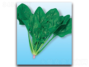 ��(y��u)Խ-���˷N��-����N�I(y��)