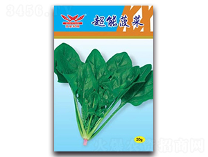 ���ܲ���-���˷N��-����N�I(y��)