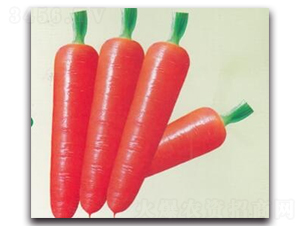 �t��160���}��-�}���N��-����N�I(y��)