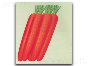 �t��100���}��-�}���N��-����N�I(y��)