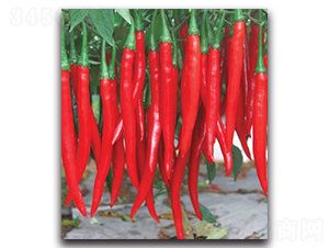 ��������5̖(h��o)-�����N��-����N�I(y��)