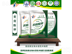 �S�����-����