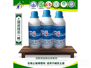 ���������{(di��o)�턩���{(di��o)�A��-����