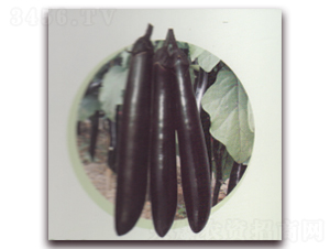 ����������-���ӷN��-����N�I(y��)