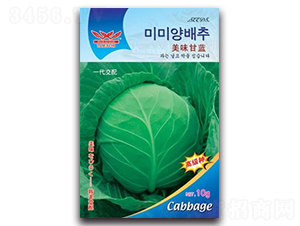 ��ζ���{(l��n)-���{(l��n)�N��-����N�I(y��)