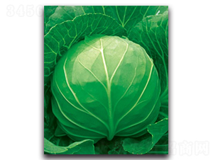 δ��055���{-���{�N��-����N�I(y��)