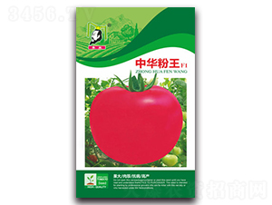 ���A����F1-���ѷN��-�ػ�