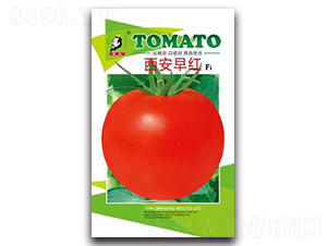 ������tF1-���ѷN��-�ػ�