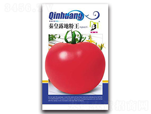 �ػ�¶�ط���F1-���ѷN��-�ػ�