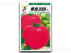 �ػ�2008F1-���ѷN��-�ػ�