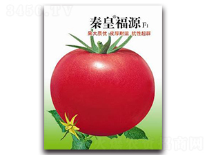 �ػʸ�ԴF1-���ѷN��-�ػ�