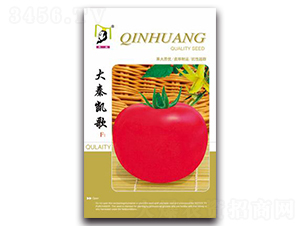 ���؄P��F1-���ѷN��-�ػ�