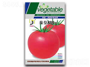 �ػ�808F1-���ѷN��-�ػ�