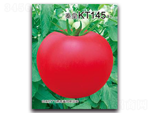 秦皇KT145F1-番茄種子-秦皇