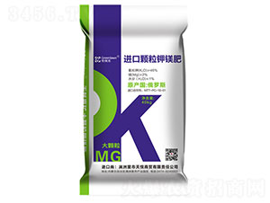 �M�ڴ��w����V��-������-����R��