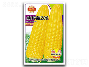 �ӿ���208-���׷N��-�ӿƷN�I(y��)