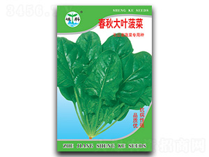 ������~����-���˷N��-�ӿƷN�I(y��)