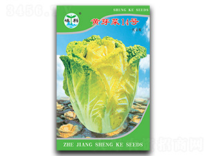 �Sѿ��14̖(h��o)-ѿ�˷N��-�ӿƷN�I(y��)