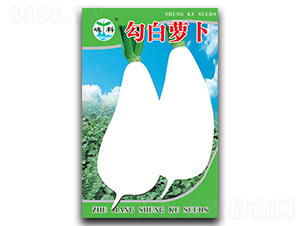 勾白蘿卜-蘿卜種子-嵊科種業(yè)