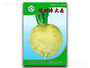 ���ݱ����^-��˷N��-�ӿƷN�I(y��)