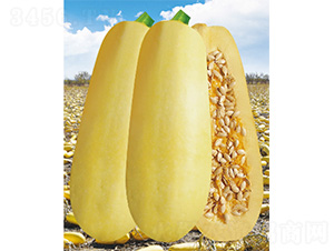 �M�}116-�����J�N��-����