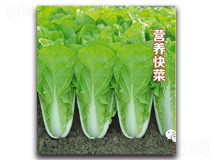 �I�B(y��ng)���-�ײ˷N��-��s�r(n��ng)�I(y��)